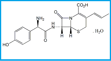 CEFPROZIL (E)-ISOMER 